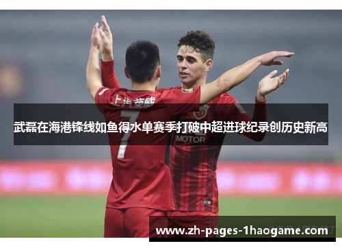 武磊在海港锋线如鱼得水单赛季打破中超进球纪录创历史新高 武磊在海港锋线如鱼得水单赛季打破中超进球纪录创历史新高